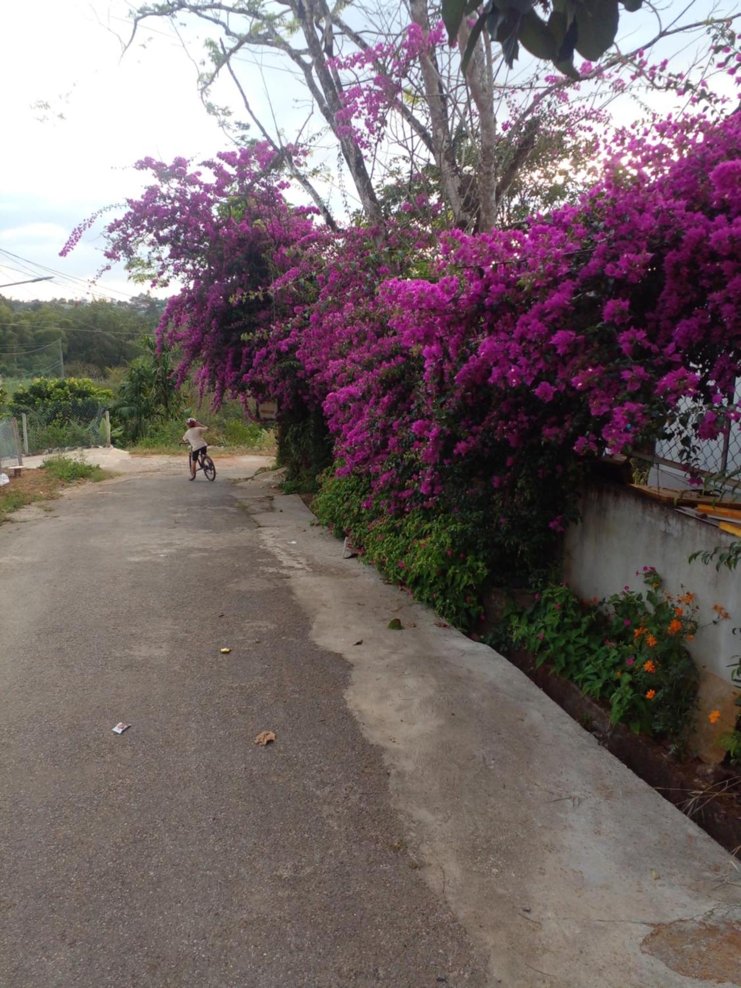 Ly'S Homestay Gia Nghia Extérieur photo