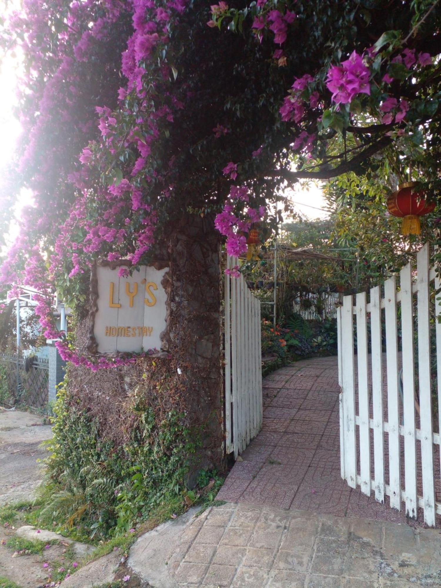 Ly'S Homestay Gia Nghia Extérieur photo